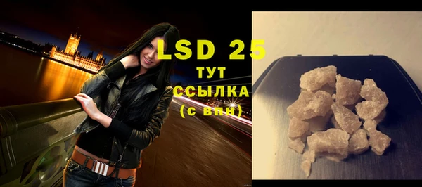 стафф Каменногорск