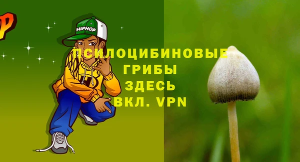 стафф Каменногорск