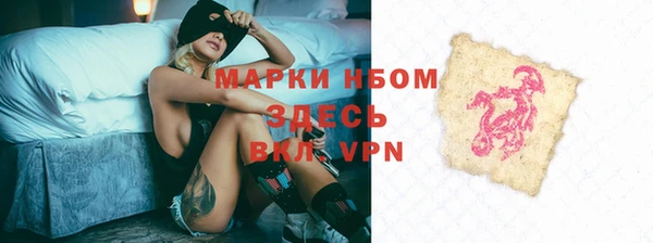 стафф Каменногорск