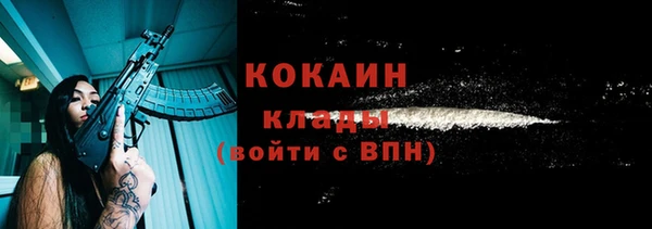 стафф Каменногорск