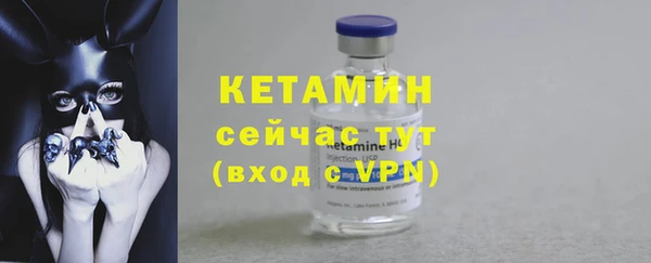стафф Каменногорск