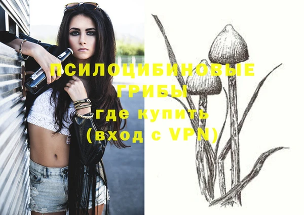 стафф Каменногорск