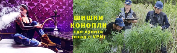стафф Каменногорск
